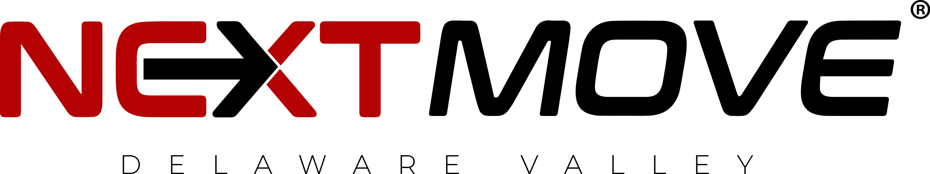Next Move Delaware Valley logo